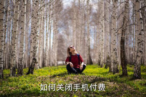 如何關(guān)閉手機(jī)付費(fèi)