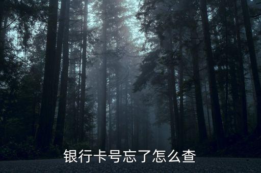 怎么查詢名下銀行卡號(hào)，怎么查銀行卡卡號(hào)