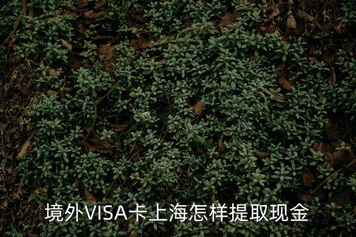 visa卡怎么取現(xiàn)，visa卡在國內(nèi)能取現(xiàn)嗎