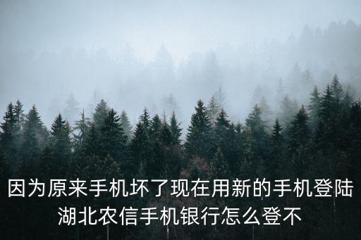 因為原來手機壞了現(xiàn)在用新的手機登陸湖北農信手機銀行怎么登不