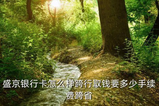 盛京銀行卡怎么樣跨行取錢要多少手續(xù)費(fèi)跨省