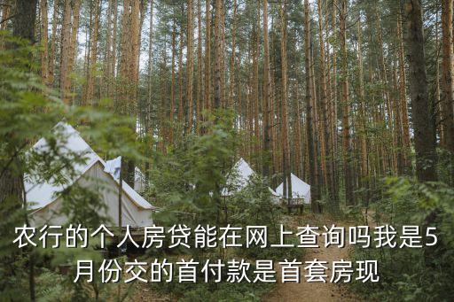 農(nóng)行的個人房貸能在網(wǎng)上查詢嗎我是5月份交的首付款是首套房現(xiàn)