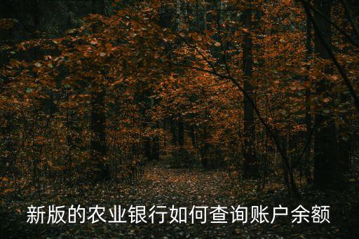 新版農(nóng)行怎么查余額，農(nóng)業(yè)銀行余額怎么查