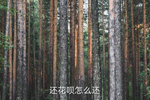 還花唄怎么還