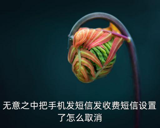 怎么取消已經(jīng)收費短信，怎樣去掉服務(wù)短信費