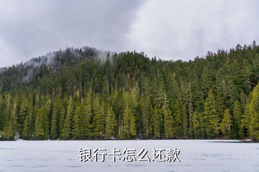 銀行卡怎么還款