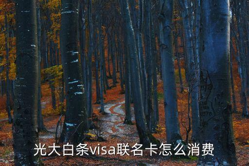 光大白條visa聯(lián)名卡怎么消費(fèi)