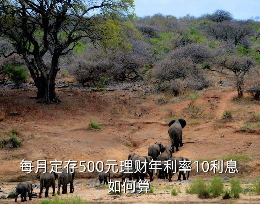每月定存500元理財(cái)年利率10利息如何算