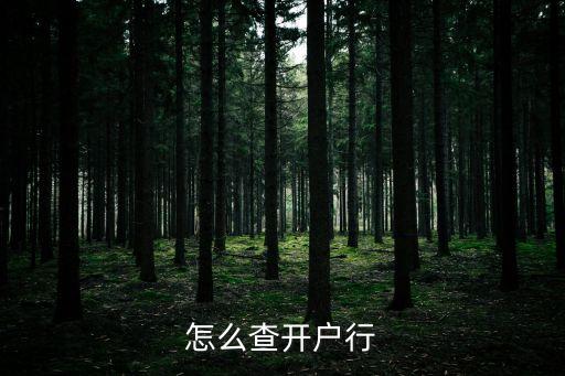 徽商銀行怎么查開戶行，如何查銀行卡的開戶行