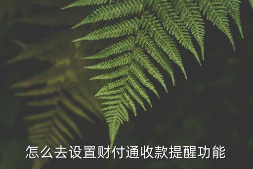 怎么去設(shè)置財(cái)付通收款提醒功能