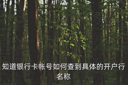 知道銀行卡帳號如何查到具體的開戶行名稱