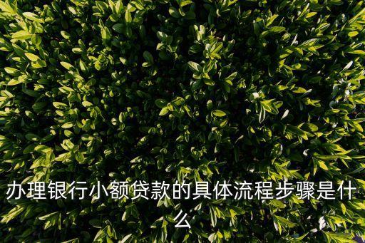 辦理銀行小額貸款的具體流程步驟是什么
