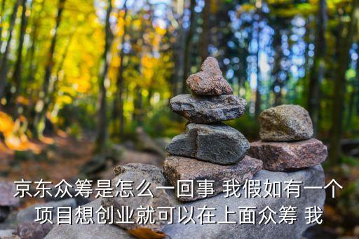 京東眾籌是怎么一回事 我假如有一個項目想創(chuàng)業(yè)就可以在上面眾籌 我