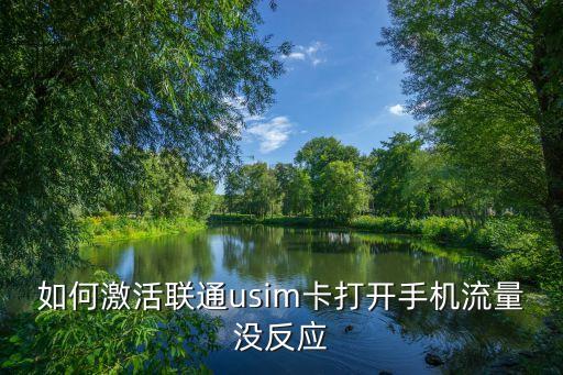 如何激活聯(lián)通usim卡打開(kāi)手機(jī)流量沒(méi)反應(yīng)