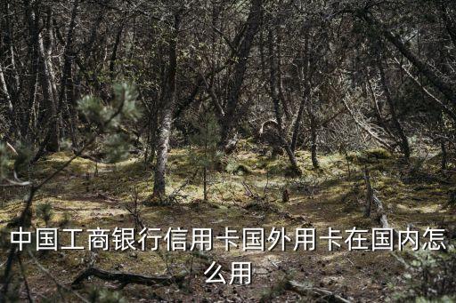 工行外幣信用卡怎么用，工行外幣信用卡怎么用