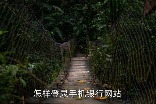 怎樣登錄手機(jī)銀行網(wǎng)站