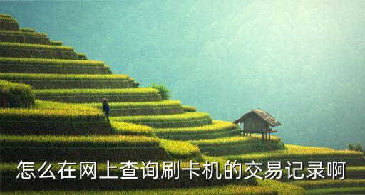 pos機怎么查單筆明細，銀聯pos機如何查詢交易記錄