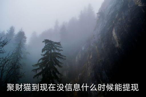 聚財貓閃電寶怎么提現(xiàn)，閃電寶刷卡10元怎么到賬603