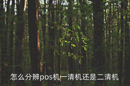 怎么分辨pos機一清機還是二清機