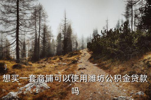 想買一套商鋪可以使用濰坊公積金貸款嗎