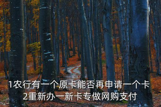 1農(nóng)行有一個(gè)原卡能否再申請(qǐng)一個(gè)卡 2重新辦一新卡專做網(wǎng)購支付