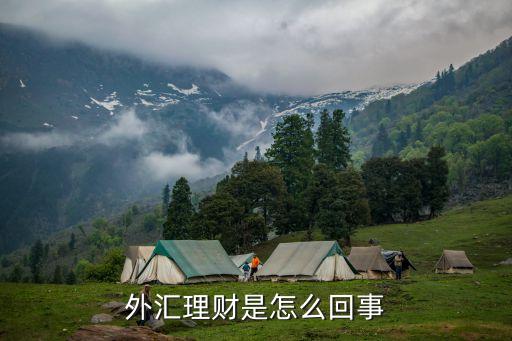 拉美金金融怎么樣，美元上的頭像是誰(shuí)