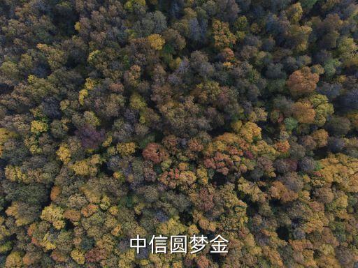 中信圓夢(mèng)金