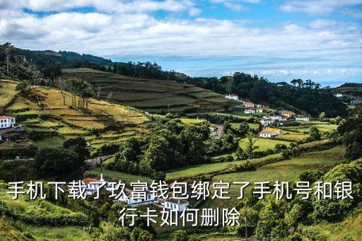手機下載了玖富錢包綁定了手機號和銀行卡如何刪除