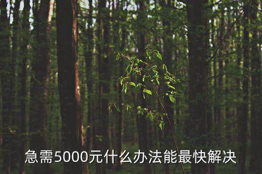急需5000元什么辦法能最快解決
