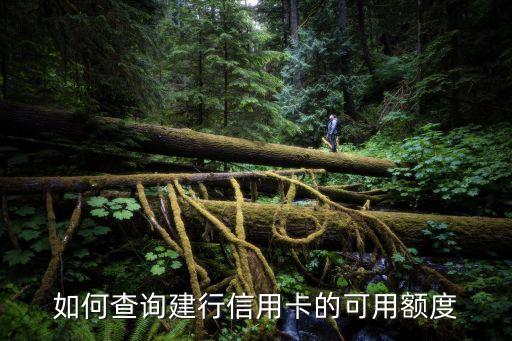 怎么查建行信用卡額度，怎么查詢建行信用卡的額度