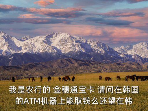 我是農(nóng)行的 金穗通寶卡 請(qǐng)問在韓國的ATM機(jī)器上能取錢么還望在韓