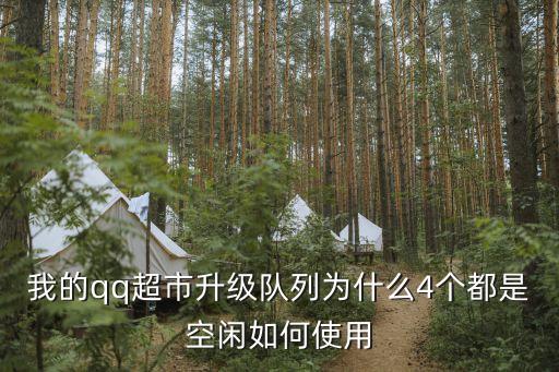 隨心支付怎么用，我的qq超市升級隊列為什么4個都是空閑如何使用