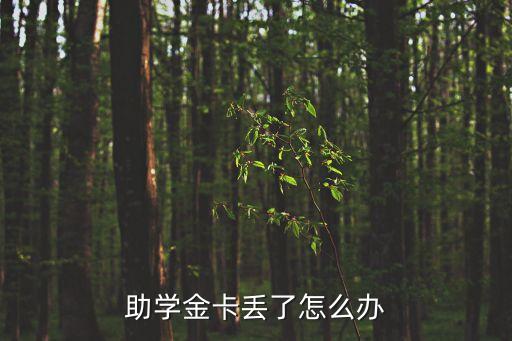 助學(xué)金卡丟了怎么辦