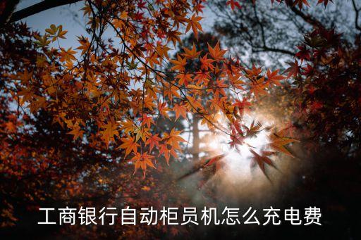 怎么用工行機(jī)器充電卡，工商銀行由盾怎么充電
