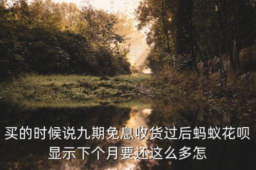 螞蟻花唄怎么選擇9期，支付寶的螞蟻花唄 在1至9號(hào)內(nèi) 怎么選擇分期還款