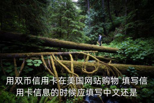 雙幣信用卡信息怎么填，中信銀行信用卡歐元或港元雙幣信用卡怎么申請