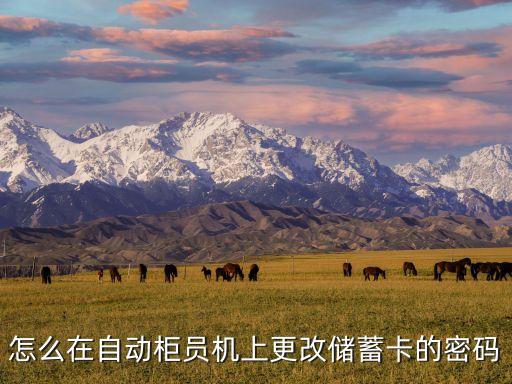 怎么在自動(dòng)柜員機(jī)上更改儲(chǔ)蓄卡的密碼