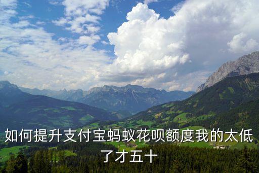 如何提升支付寶螞蟻花唄額度我的太低了才五十