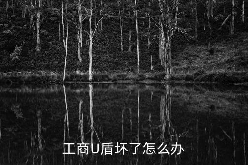 公司u盾壞了怎么辦，我工商卡的U盾壞了誰知道怎么解掉