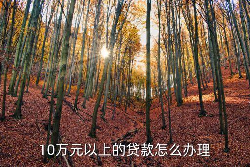 10萬(wàn)元以上的貸款怎么辦理