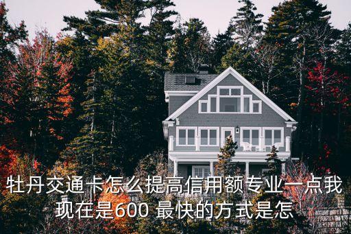 牡丹交通卡怎么提高信用額專業(yè)一點我現(xiàn)在是600 最快的方式是怎