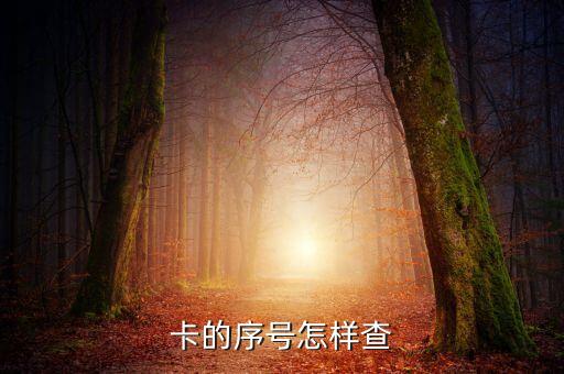卡的序號(hào)怎樣查