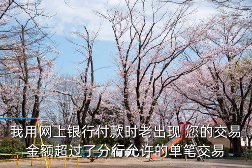 我用網(wǎng)上銀行付款時(shí)老出現(xiàn) 您的交易金額超過(guò)了分行允許的單筆交易