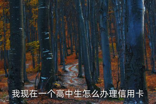 我現(xiàn)在一個高中生怎么辦理信用卡