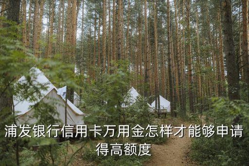浦發(fā)萬用金怎么有額度，求大神指點 浦發(fā)信用卡額外萬用金是不是只要刷境外基本上都能出來