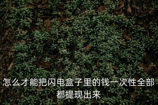 怎么才能把閃電盒子里的錢一次性全部都提現(xiàn)出來