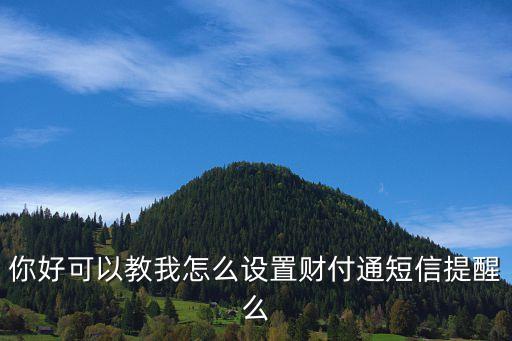 財(cái)付通怎么提醒，你好可以教我怎么設(shè)置財(cái)付通短信提醒么
