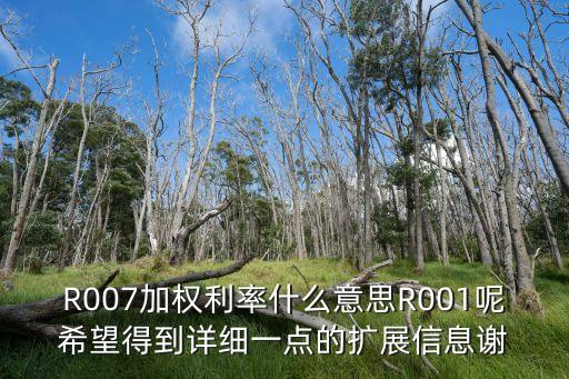 r007怎么算收益，工銀貨幣如何算收益