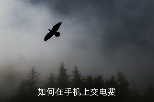 網(wǎng)上怎么繳電費，怎么在網(wǎng)上交電費