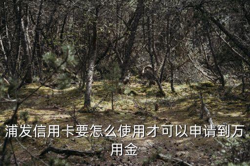 浦發(fā)信用卡要怎么使用才可以申請到萬用金